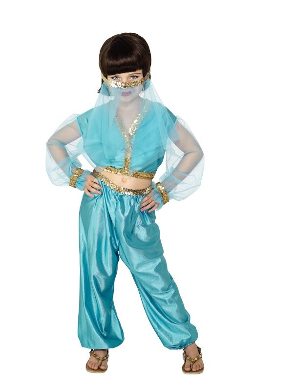 Turquoise Harem Girl Costume
