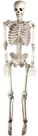 60 Inch Hanging Skeleton
