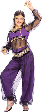 Harem Princess Costume