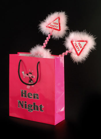 Set of 3 Hen Night Gift Bags
