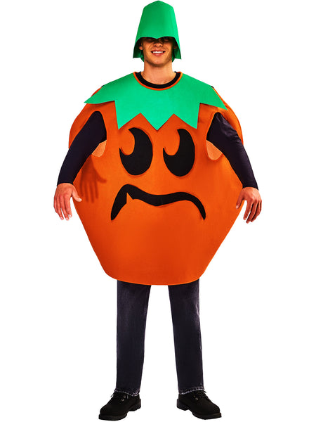 Adult Pumpkin Costume with Interchangeable Face!