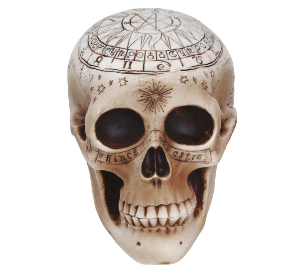 Spiritualism Skull (20cm)