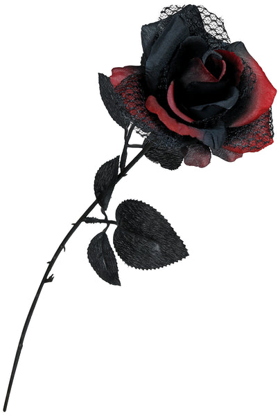 Black & Red Rose