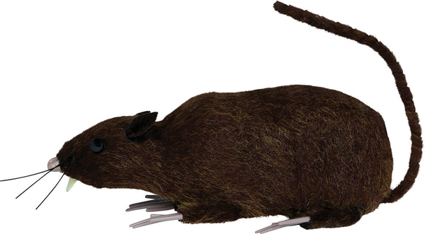 Brown Furry Rat