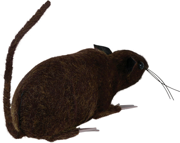 Brown Furry Rat