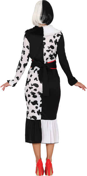 Lady Villain Costume