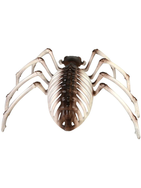 Spider Skeleton Prop