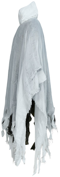 Spirit of the Wind Costume