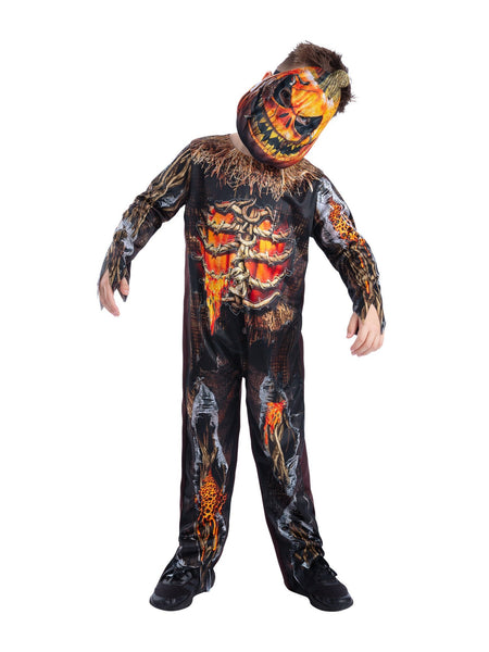 Evil Scarecrow Costume