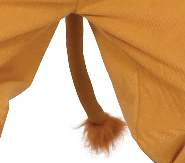 Child's Lion Costume