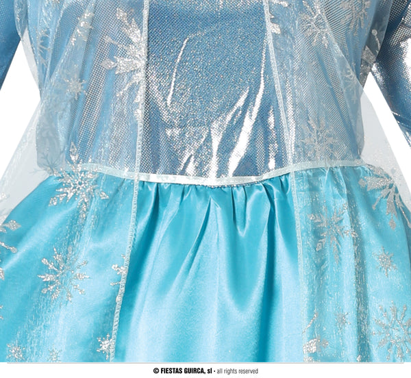 Adult Frost Princess Costume
