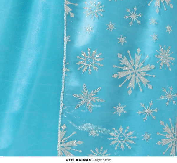 Adult Frost Princess Costume