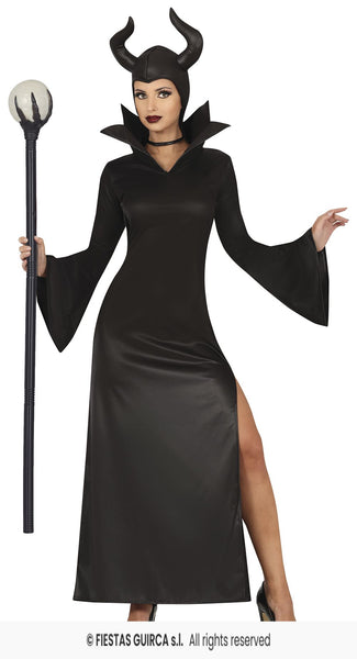 Evil Fairy Costume
