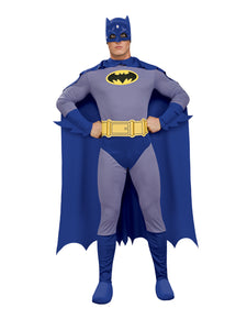 Brave & Bold Batman Costume