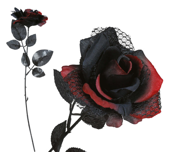 Black & Red Rose