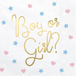 Boy or Girl Paper Napkins (20pk)