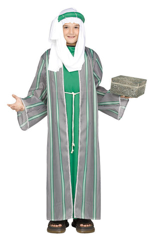 Green Wise Man Costume