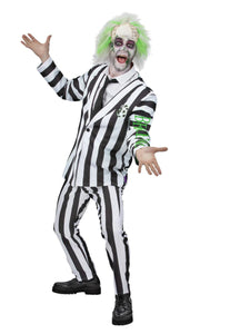 Adult's Beetlejuice Costume