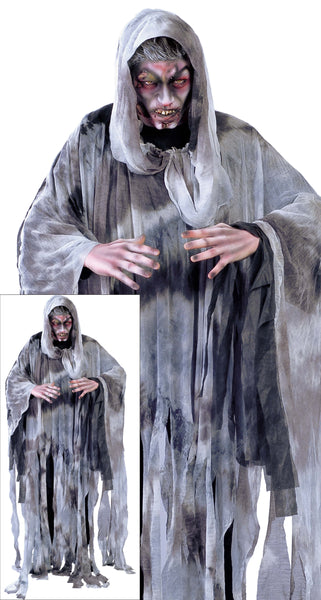 Spirit of the Wind Costume