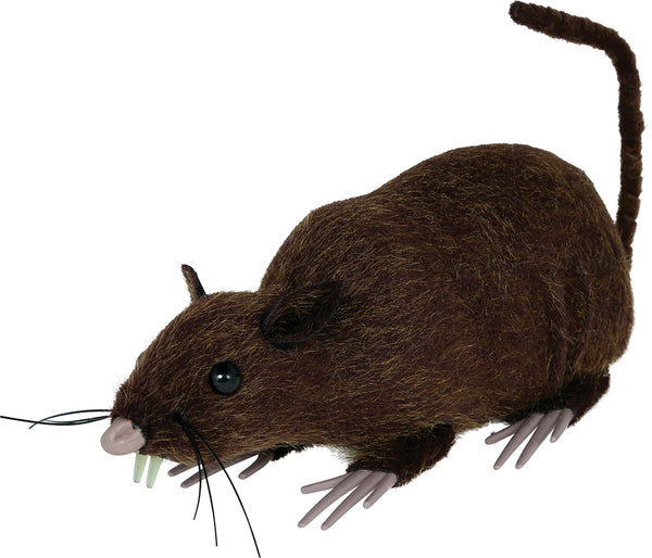 Brown Furry Rat