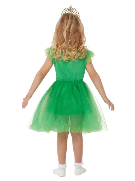 Deluxe St Patricks Day Glitter Fairy Costume