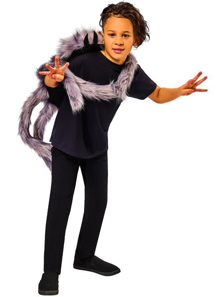 Wrap-around Spider Costume