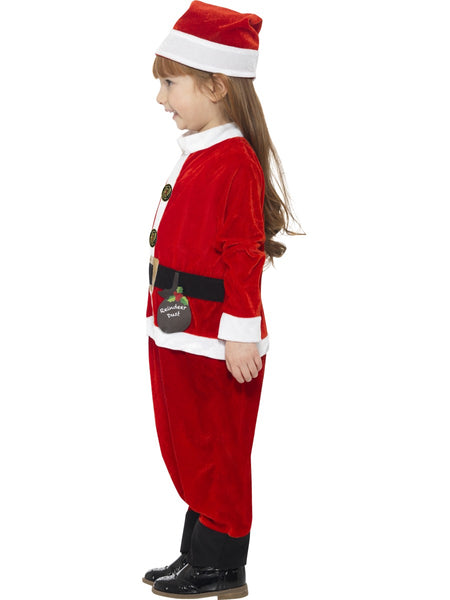 Unisex Santa Toddler Costume