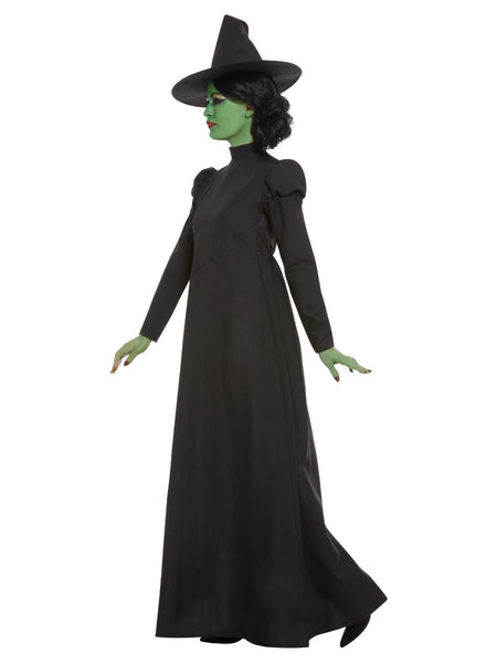 Adult's Wicked Witch Costume