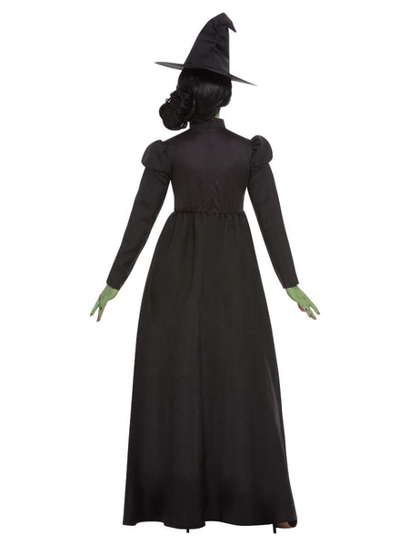 Adult's Wicked Witch Costume
