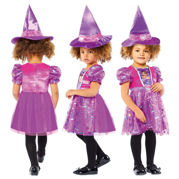 Paw Patrol Sky Witch Costume