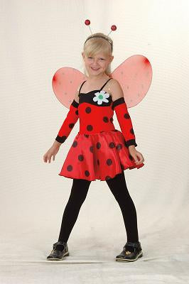 Ladybug Costume