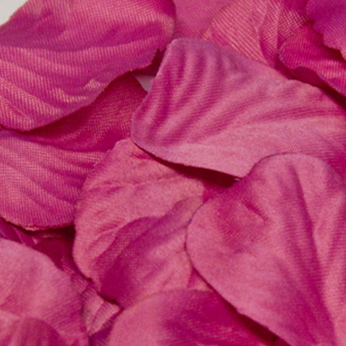 Fuchsia Rose Petals