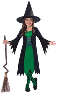 Green Wicked Witch Costume