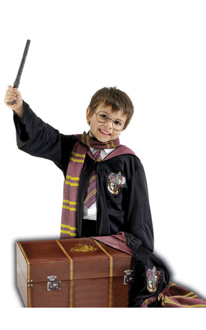 Deluxe Harry Potter Trunk Costume