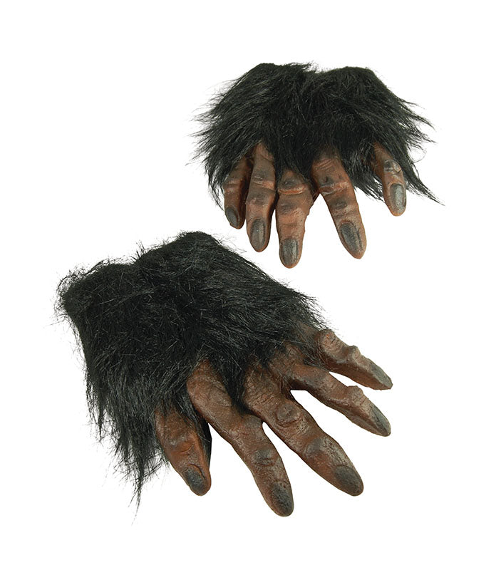 Brown Hairy Hands