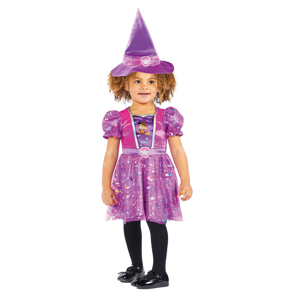 Paw Patrol Sky Witch Costume