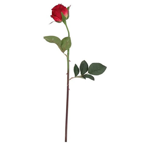 45cm Single Red Oxford Rose