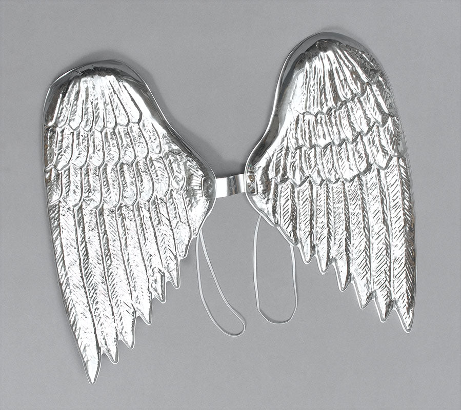 Silver PVC Wings