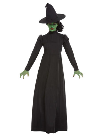 Adult's Wicked Witch Costume