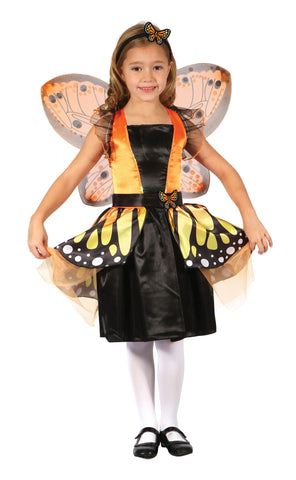 Butterfly Fairy Costume