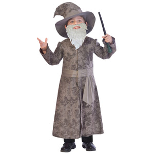 Wise Wizard Costume