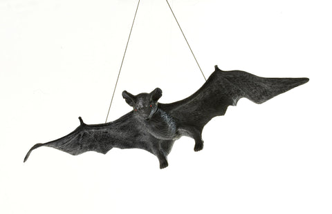 Giant Black Bat