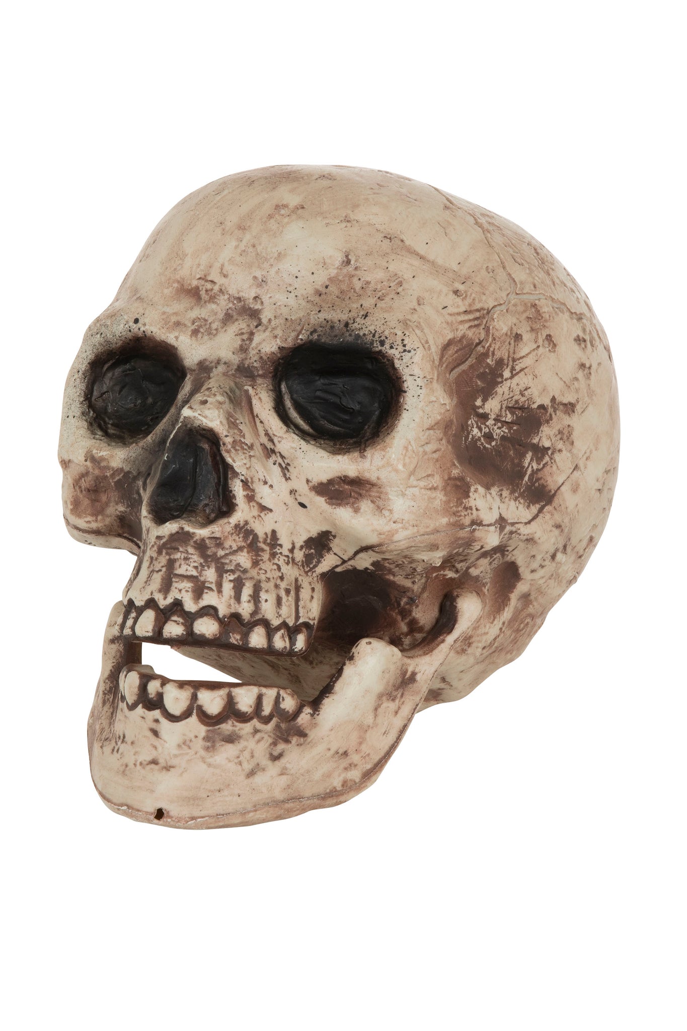 Large Plastic Skull