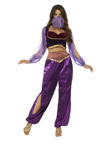 Purple Arabian Princess Costume