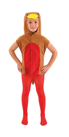 Robin Tabard Costume