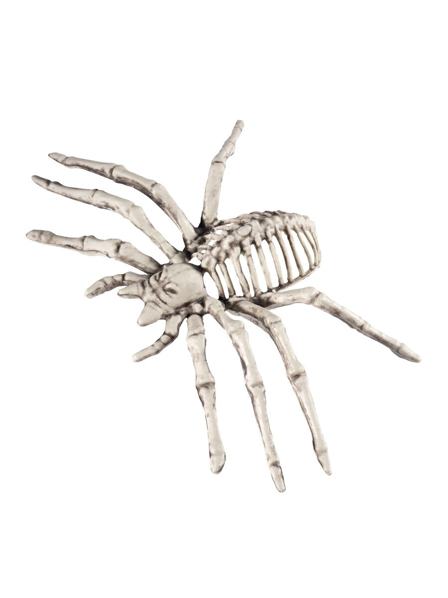 Small Spider Skeleton Prop